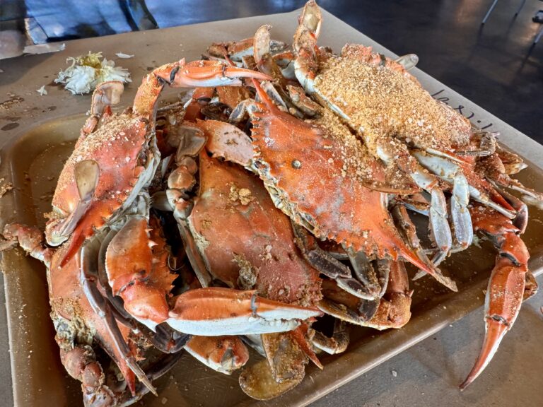 Maryland Blue Crabs
